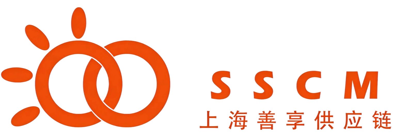 Shanghai Sunshine Global Massage Gun OEM Manufacture